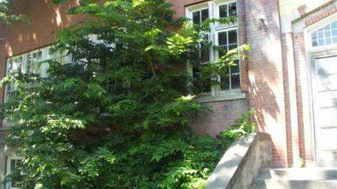 July 2013 - School-Section-No.-5-Euphemia157.jpg