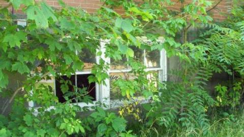 Photo from July 2013