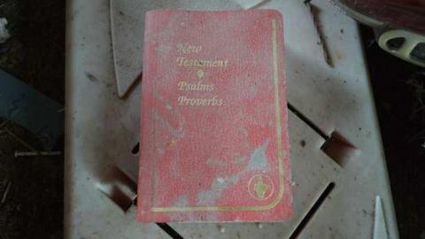 What remains.. - Mechanics-(Ex)-Paradise14.jpg