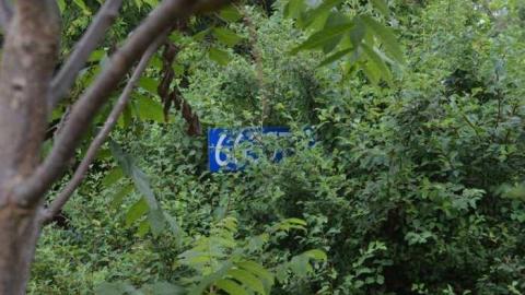 What remains.. - Mechanics-(Ex)-Paradise19.jpg