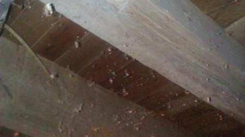 Penthouse sweet - Townline-Road9.jpg