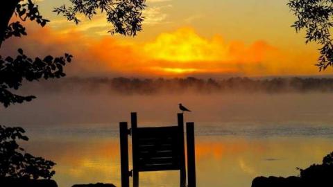 Discovery Visit cover photo