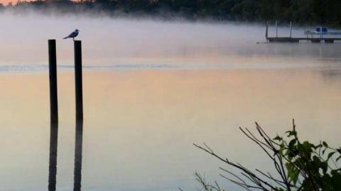 Discovery Visit - 17.jpg