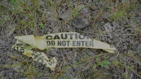 Gallery 3 - Insulating-Board-Plant101.jpg