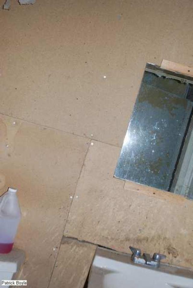 Insulating Board Plant photo 2