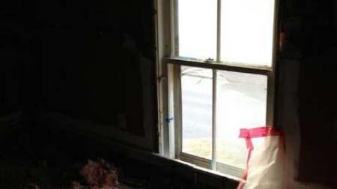 Johnson Houses - Johnson-Houses3.jpg