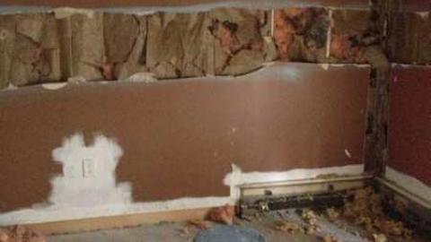 Johnson Houses - Johnson-Houses4.jpg