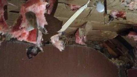 Johnson Houses - Johnson-Houses17.jpg