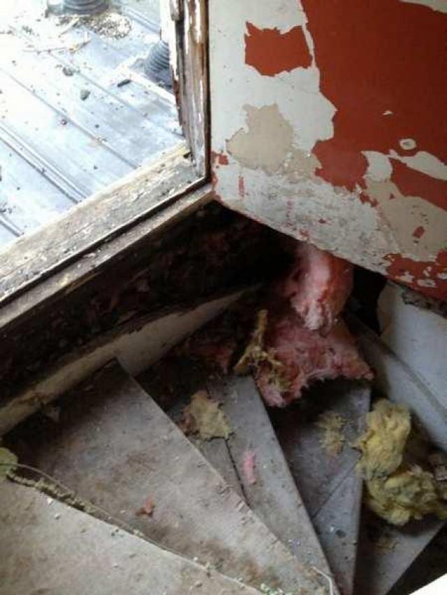 Johnson Houses photo 5