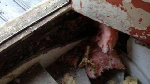 Johnson Houses - Johnson-Houses19.jpg