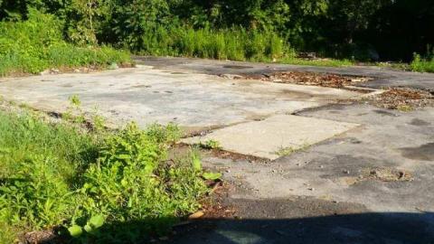 Dry Rot Cabin photo 3