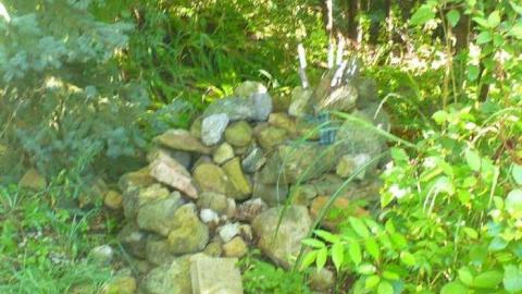 Dry Rot Cabin photo 4