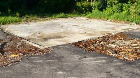 Dry Rot Cabin photo 2