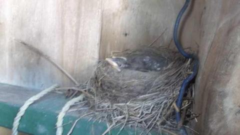 07/28/13 OAP meet - DSCF5166.jpg