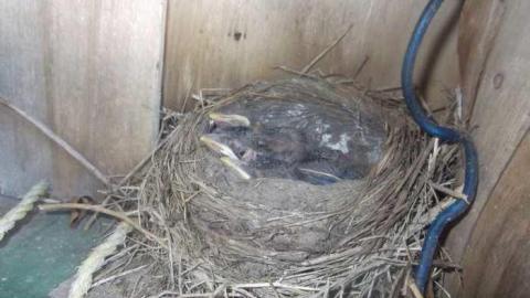 07/28/13 OAP meet - DSCF5167.jpg