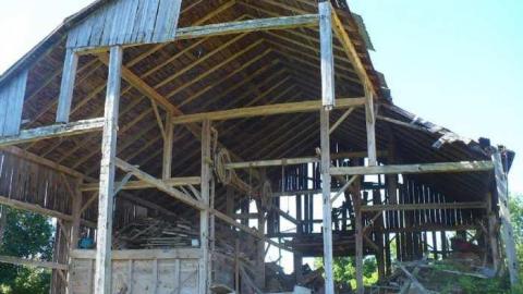 Frankly - P1120382.jpg