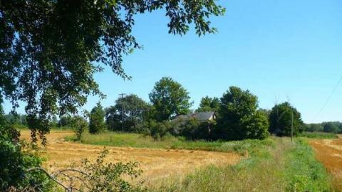 Frankly - P1120340.jpg