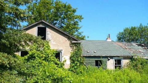 Frankly - P1120341.jpg