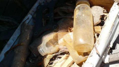 Frankly - P1120343.jpg