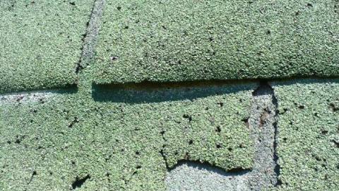 Frankly - P1120344.jpg