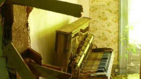 Frankly - P1120351.jpg