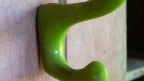 Frankly - P1120353.jpg