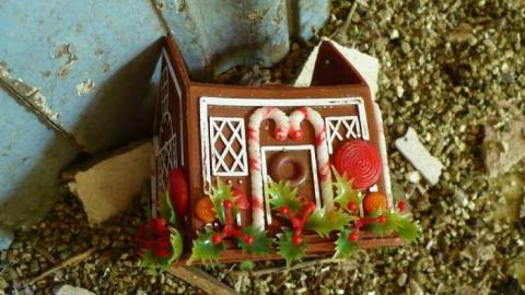 Frankly - P1120354.jpg