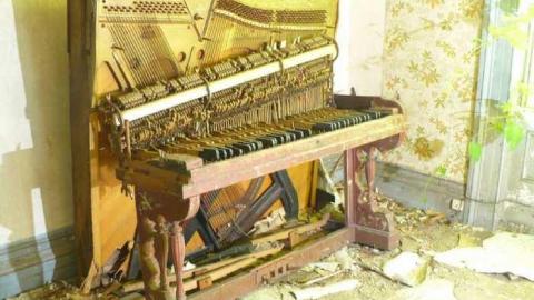 Frankly - P1120355.jpg