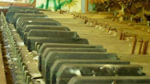 Frankly - P1120360.jpg