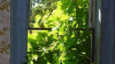 Frankly - P1120366.jpg