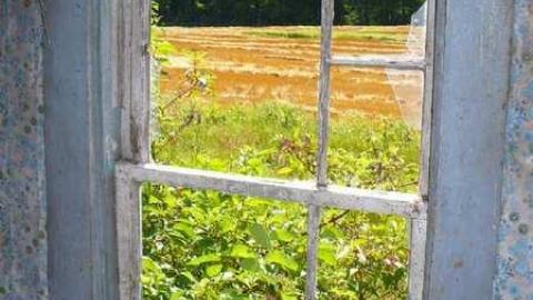 Frankly - P1120368.jpg