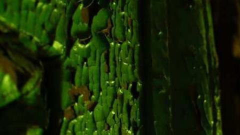 Frankly - P1120370.jpg