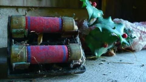 Frankly - P1120371.jpg