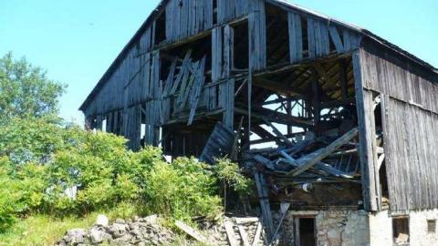 Frankly - P1120376.jpg