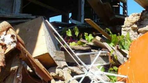 Frankly - P1120380.jpg