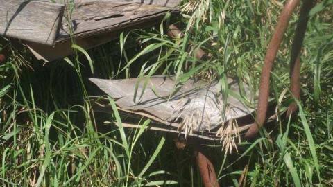 07/28/13 OAP meet - DSCF5169.jpg