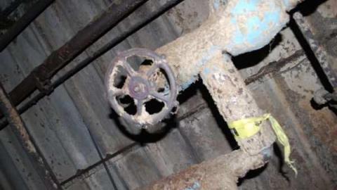 Photo from Gallery 4