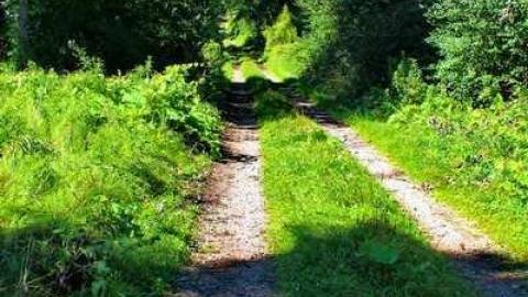 OAP Meet'13 "A" 4x4ers - Scenic-Farm-on-Township-Rd.-3202.jpg