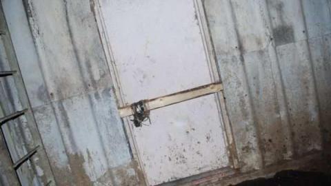 Gallery 4 - Insulating-Board-Plant81.jpg