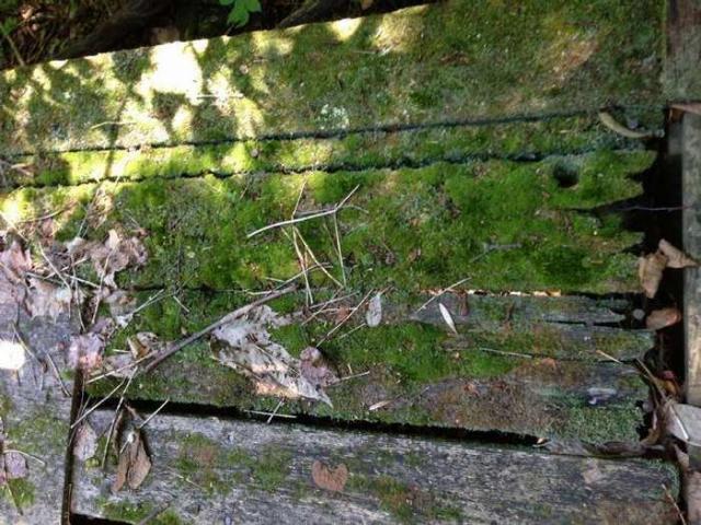 Hotel, Motel, Chalet, Inn photo 3