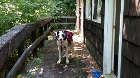 Hotel, Motel, Chalet, Inn - Hotel,-Motel,-Chalet,-Inn26.jpg