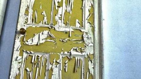 OAP Meet 2013 - Scenic-Farm-on-Township-Rd.-383.jpg