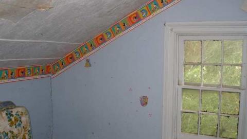 Omagh What Can The Matter..... - P7282528.jpg