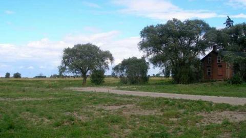 Omagh What Can The Matter..... - P7292606.jpg