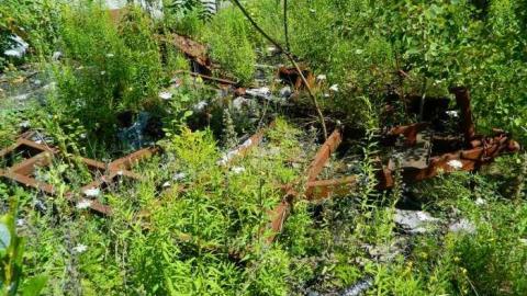 Steph's Home - Stephens-Old-Home5.jpg