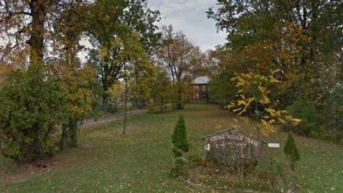 Progress - Cedar-Hedge-Farm30.jpg