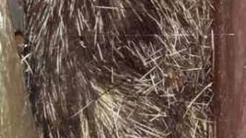 Crevices - Beautiful-Stone-House195.jpg