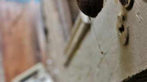 Crevices - Beautiful-Stone-House205.jpg