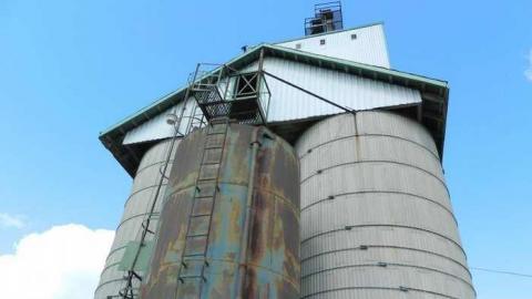 My seeds grow here - Technical-Farm-Mill41.jpg