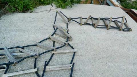 My seeds grow here - Technical-Farm-Mill42.jpg